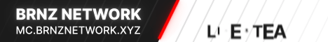 Brnz Network banner Brnz Network Minecraft server banner