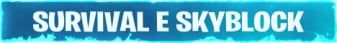 REDE SAINT banner REDE SAINT Minecraft server banner