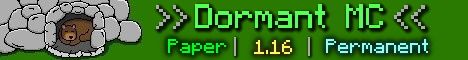 DormantMC banner DormantMC Minecraft server banner