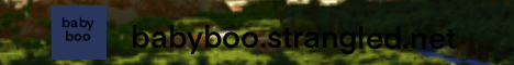 BabyBoo banner BabyBoo Minecraft server banner