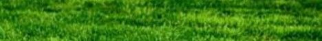 GrassMC banner GrassMC Minecraft server banner