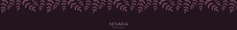Novaria banner Novaria Minecraft server banner