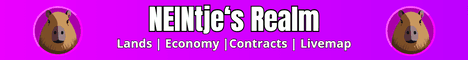 NEINtjes Realm banner NEINtjes Realm Minecraft server banner