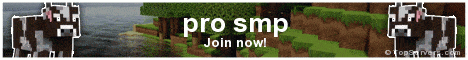 pro smp banner pro smp Minecraft server banner