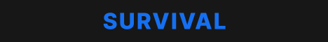 Play Allay banner Play Allay Minecraft server banner