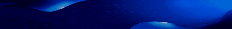 Blue Rockets banner Blue Rockets Minecraft server banner