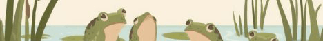 FroggieMC banner FroggieMC Minecraft server banner