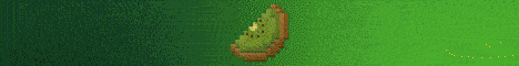 KiwiSMP banner KiwiSMP Minecraft server banner
