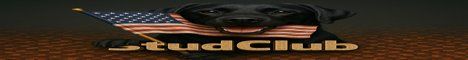 StudClub Survival banner StudClub Survival Minecraft server banner