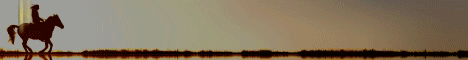 Pinecraft Equestrian banner Pinecraft Equestrian Minecraft server banner