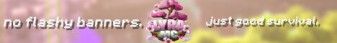 LyraMC banner LyraMC Minecraft server banner