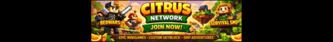 Citrus Network banner Citrus Network Minecraft server banner