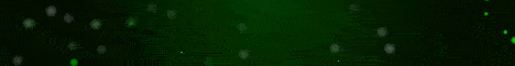 SurvivalState banner SurvivalState Minecraft server banner