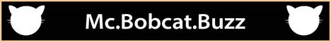 BobCat banner BobCat Minecraft server banner