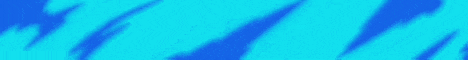 Elytra banner Elytra Minecraft server banner