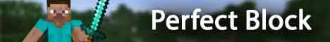 Perfect Block banner Perfect Block Minecraft server banner