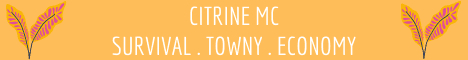 Citrine MC banner Citrine MC Minecraft server banner