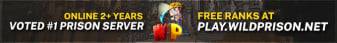 WildNetwork banner WildNetwork Minecraft server banner