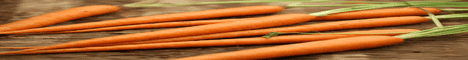 Carrat banner Carrat Minecraft server banner