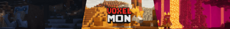 VoxelMon banner VoxelMon Minecraft server banner