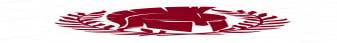 Imperio Latino Network banner Imperio Latino Network Minecraft server banner