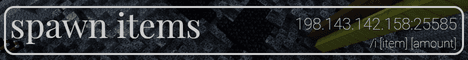 Spawn Items banner Spawn Items Minecraft server banner