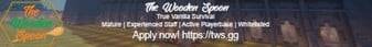 The Wooden Spoon banner The Wooden Spoon Minecraft server banner