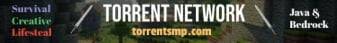Torrent Network banner Torrent Network Minecraft server banner