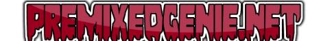 PremixedGenie.Net banner PremixedGenie.Net Minecraft server banner