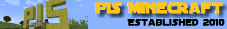 PIS Minecraft banner PIS Minecraft Minecraft server banner