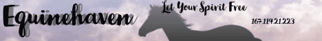 Equinehaven banner Equinehaven Minecraft server banner