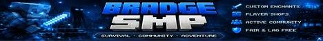 Bradges Server banner Bradges Server Minecraft server banner