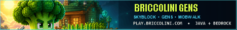 Briccolini banner Briccolini Minecraft server banner