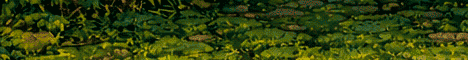 PokeLand banner PokeLand Minecraft server banner