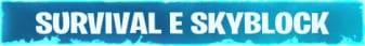 REDE SAINT banner REDE SAINT Minecraft server banner