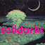 Solidarks server icon