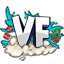 Vandfaldet server icon