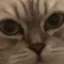 PancakeSMP server icon