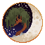 Moss & Moon server icon