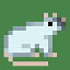 Rat Anarchy server icon