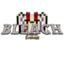 Bleach Evolved server icon