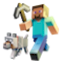 Pick Minecraft server icon