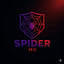 Spider Mc server icon