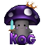 KOG NETWORK server icon