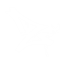 ZBird SMP server icon