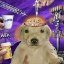 Fluoride smp server icon