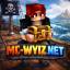 Wyiz Network server icon