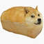 dogeSMP server icon