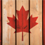 New New Canada server icon