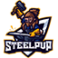 Steel PvP server icon
